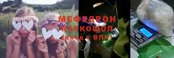 МДПВ Ельня