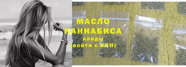 МДПВ Ельня