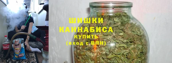 МДПВ Ельня