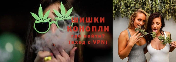 МДПВ Ельня