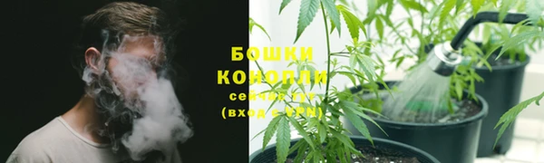 МДПВ Ельня