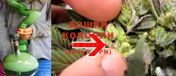 МДПВ Ельня