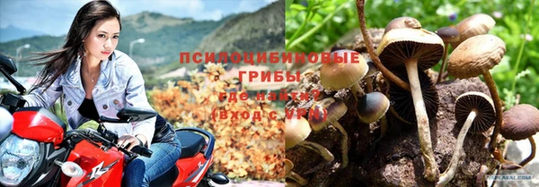 МДПВ Ельня