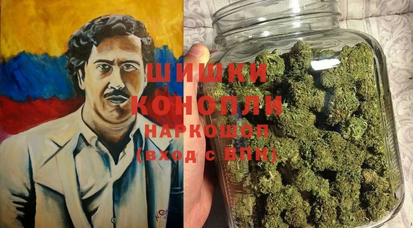 МДПВ Ельня