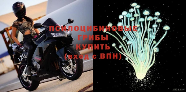 МДПВ Ельня