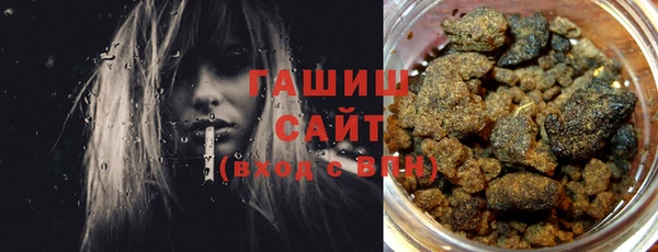МДПВ Ельня