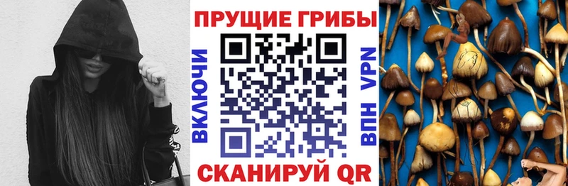 Купить где  Кашира  Псилоцибиновые грибы ЛСД 